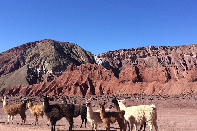 4-tours-in-2-days-in-san-pedro-de-atacama