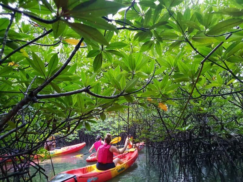 4 Waters Eco Adventure - Final Thoughts: Who Is This Tour Perfect For?