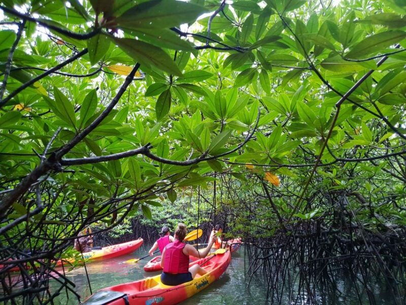 4-waters-eco-adventure