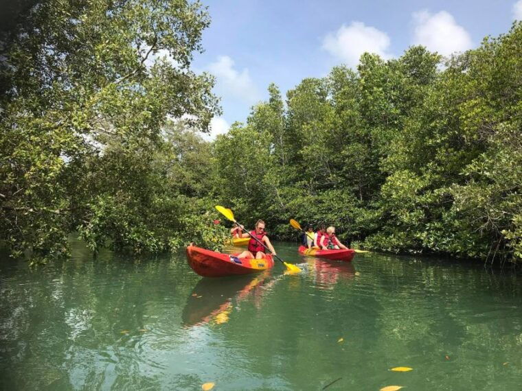 4-waters-eco-adventure