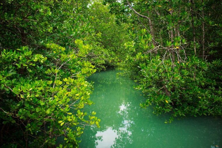 4-waters-eco-adventure