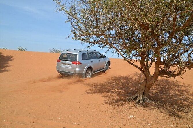 4 WD Agadir Small desert discovery including lunch - Final Thoughts: The Value of a Small Sahara Adventure