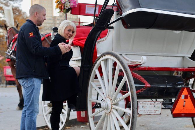 45-minute-vip-central-park-carriage-ride