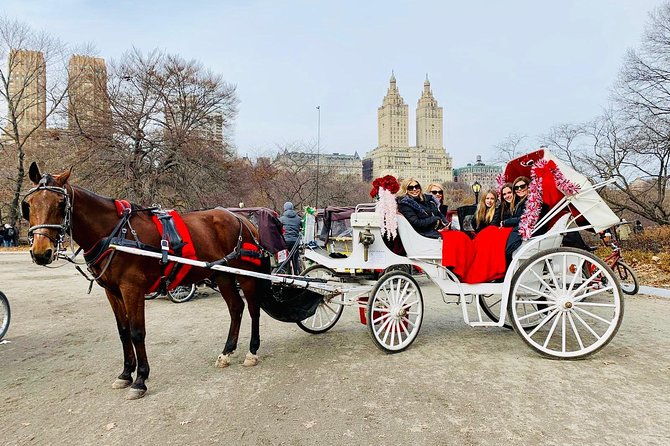 45-minute-vip-central-park-carriage-ride