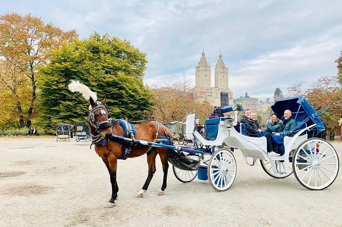 45-minute-vip-central-park-carriage-ride