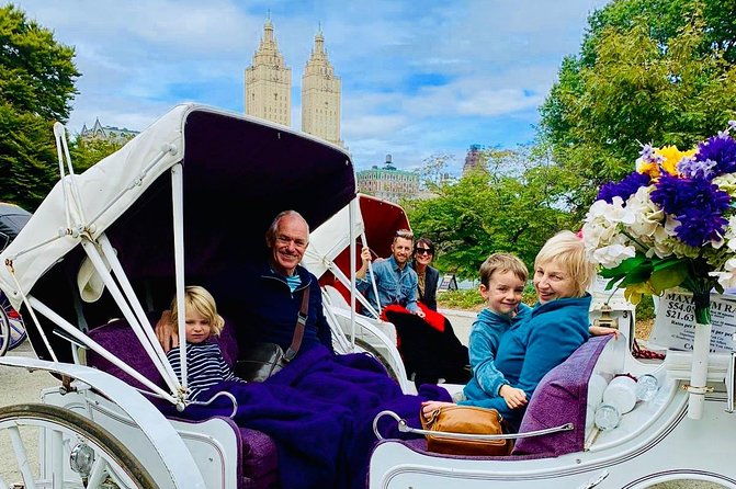 45-minute-vip-central-park-carriage-ride