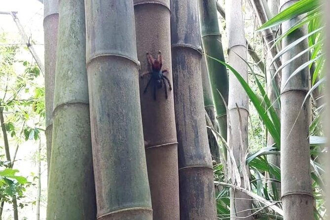 48h-of-wild-adventure-rando-bivouac-and-unforgettable-moments