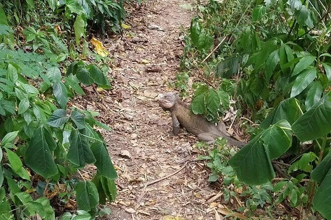 48h-of-wild-adventure-rando-bivouac-and-unforgettable-moments