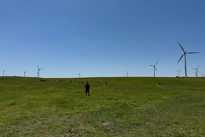 4D3N Huitengxile Grassland Wulanhada volcano Kubuqi Desert Tours - Key Points