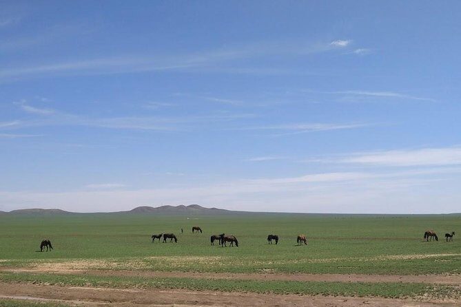 4D3N Huitengxile Grassland Wulanhada volcano Kubuqi Desert Tours - Exploring the Huitengxile Grassland