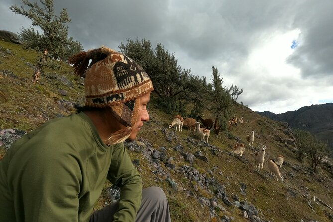 4d3n-llama-trek-to-machu-picchu-sacred-valley-journeys