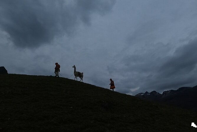 4d3n-llama-trek-to-machu-picchu-sacred-valley-journeys