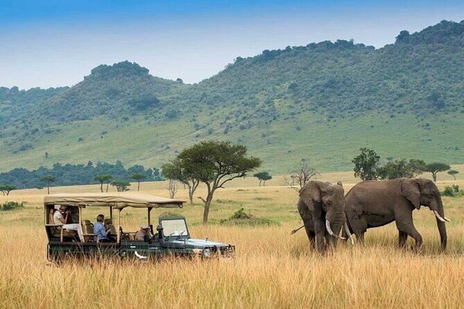 4day Maasai Mara, Lake Nakuru, and Lake Naivasha - Key Points
