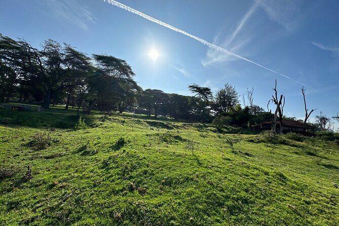 4day Maasai Mara, Lake Nakuru, and Lake Naivasha - Exploring the Itinerary in Detail