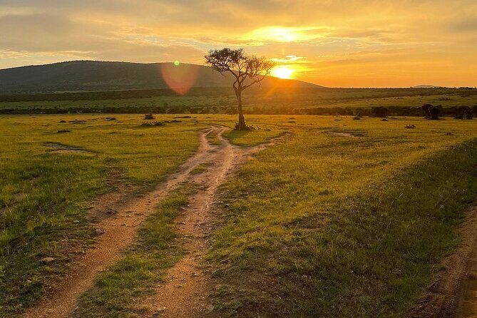 4day Maasai Mara, Lake Nakuru, and Lake Naivasha - FAQ