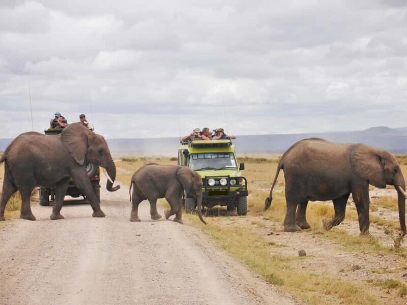 4Days Masai Mara and Lake Nakuru Safari on 4x4 Land Cruiser - Final Thoughts