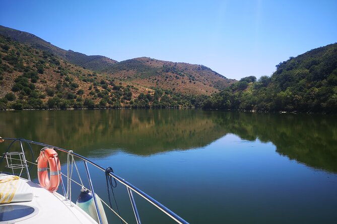 4h-private-boat-trip-on-the-douro-river-feel-the-nature