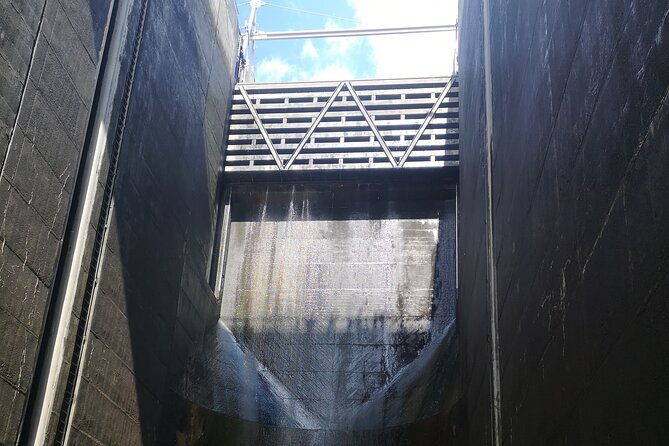 4h-private-boat-trip-on-the-douro-river-feel-the-nature