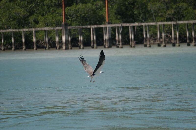 4H Supercharged Jetski Private Tour Langkawi + Drone - The Sum Up