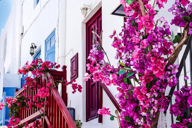 4hours-mykonos-adventure-walk-in-town-minivan-countryside-tour-2
