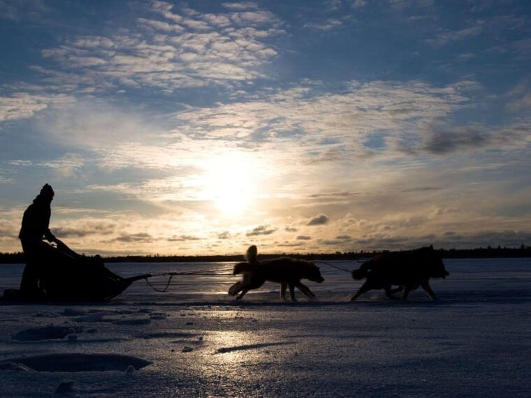 4hr-dog-sledding-trip-on-finnmarksvidda