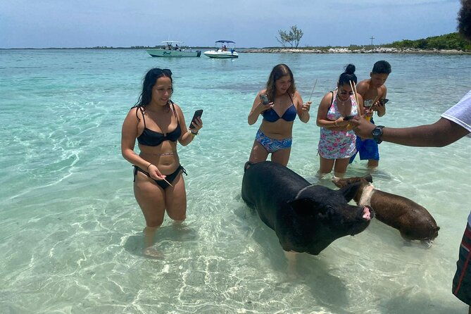 4hr-island-hopping-swimming-turtles-unlimited-bahama-mama