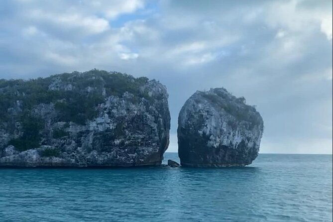 4hr-private-bottom-fishing-charter-with-lunch