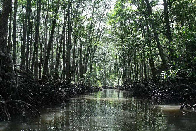 4in1 Underground River + ugong cave +zipline+mangroove paddleboat - Key Points