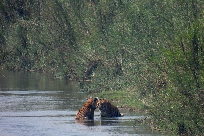 4Nights 5Days Bardia Tiger Tracking Tour |Bardia Jungle Safari - Location and Setting