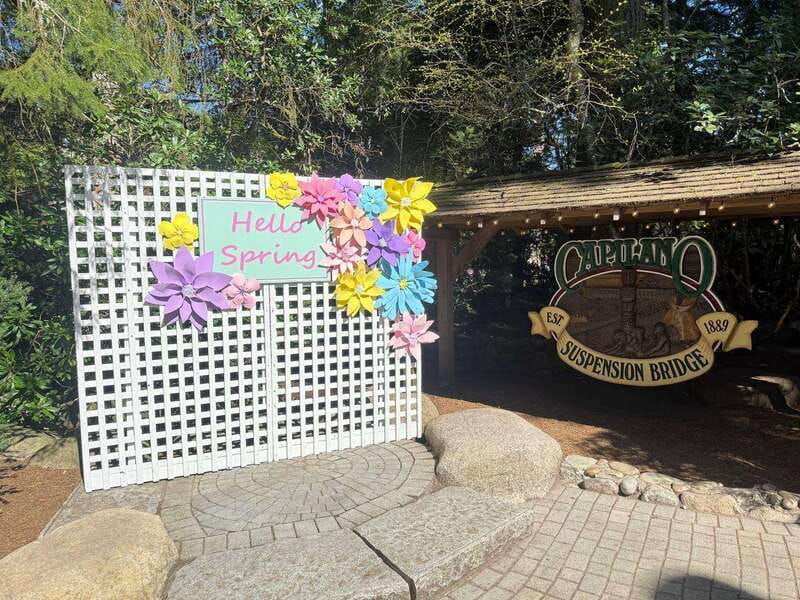 4tourcapilano-suspension-br-car-small-grouplakedamhacher