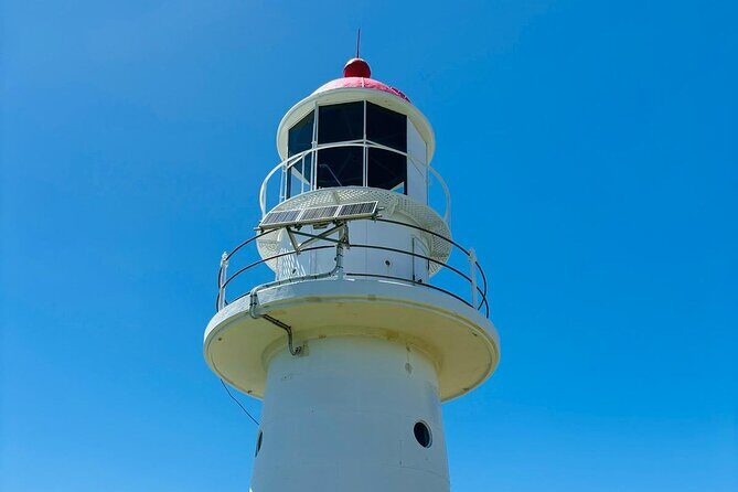 4WD Beach and Walking Tour Adventure (Half Day) - The Sum Up