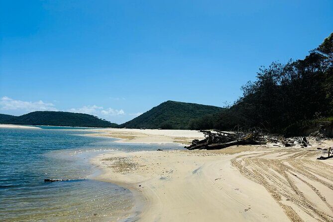 4WD Beach and Walking Tour Double Island Point (Full Day) - An Intimate Exploration of Noosa’s Natural Beauty 