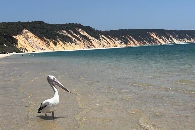 4WD Beach and Walking Tour Double Island Point (Full Day) - Value for Money: Is It Worth the Price?