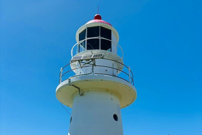 4WD Beach and Walking Tour Double Island Point (Full Day) - Final Words