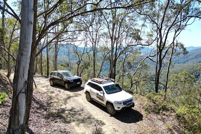 4WD Guided Day Trip In D'Aguilar National Park - Key Points