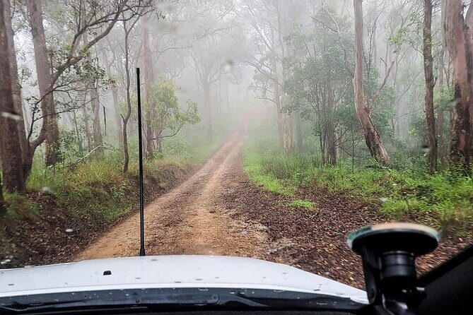 4WD Guided Day Trip In D'Aguilar National Park - What’s Included and What to Bring