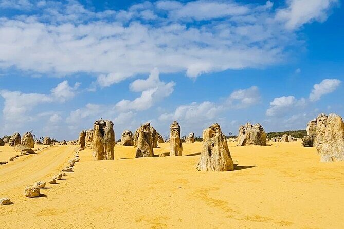 4WD Pinnacles Desert Turquoise Coast and Sand Boarding Adventure - Key Points