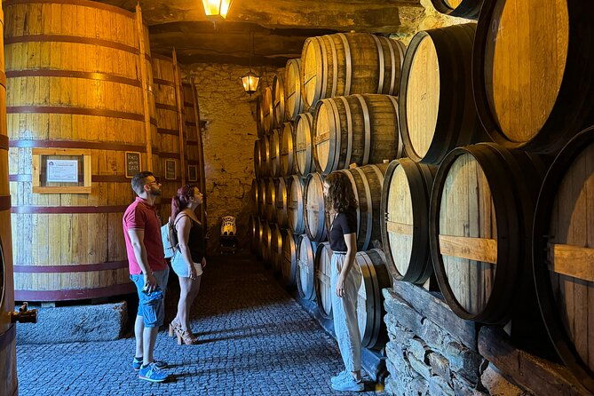 4x4-adventure-in-douro-wine-tasting-boat-trip-and-lunch