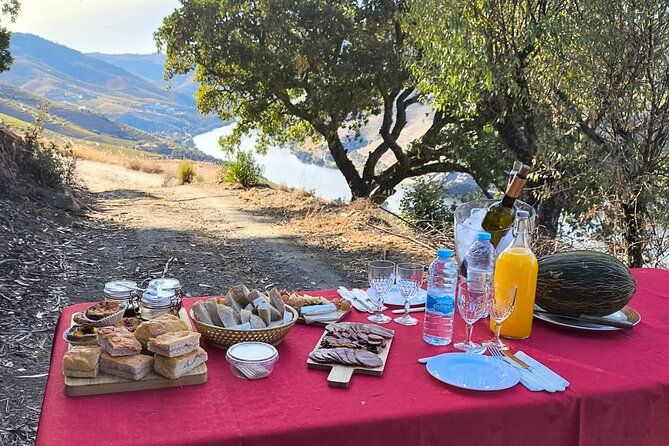 4x4-adventure-in-douro-wine-tasting-boat-trip-and-lunch