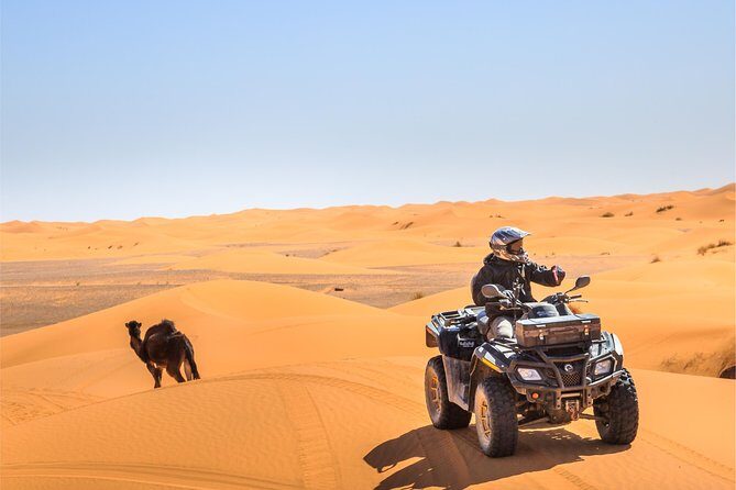 4x4 ATV Quad Biking Dubai Desert Tour - 1 Hour Experience - The Itinerary in Detail