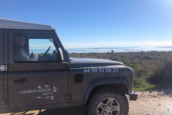 4x4-camargue-safari-4h-private-tour-departure-from-arles