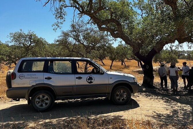 4x4-cork-tour