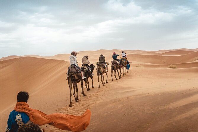 4x4 Desert Safari Abu Dhabi with BBQ Dinner - In-Depth Review of the Desert Safari Experience