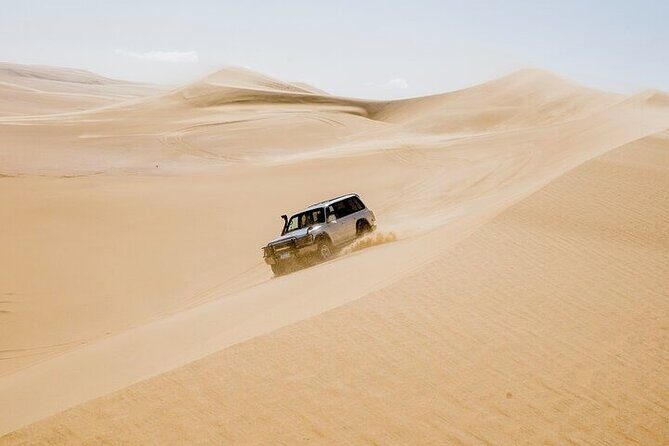 4x4 Desert Safari, Sandsurf, and Camel Ride from cairo with Lunch - Key Points