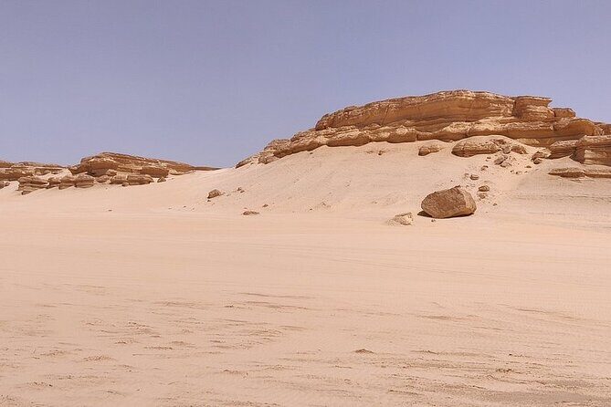 4x4 Desert Safari, Sandsurf, and Camel Ride from cairo with Lunch - An In-Depth Look at the Itinerary