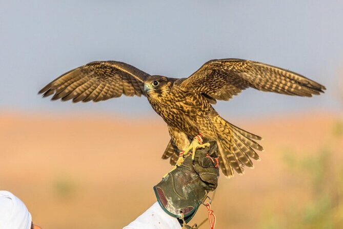 4x4 Dubai Desert Safari, Dune Bash, Camel Ride & BBQ - The Full Experience: A Detailed Breakdown