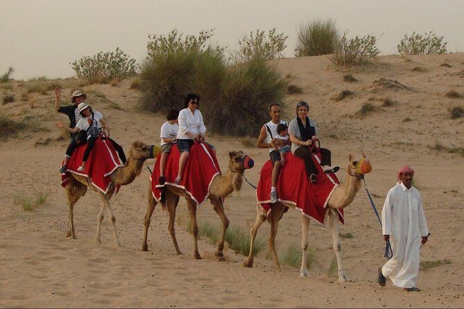 4X4 Dubai Desert Safari with BBQ dinner, Camels & Live Show - Return Journey & Final Thoughts