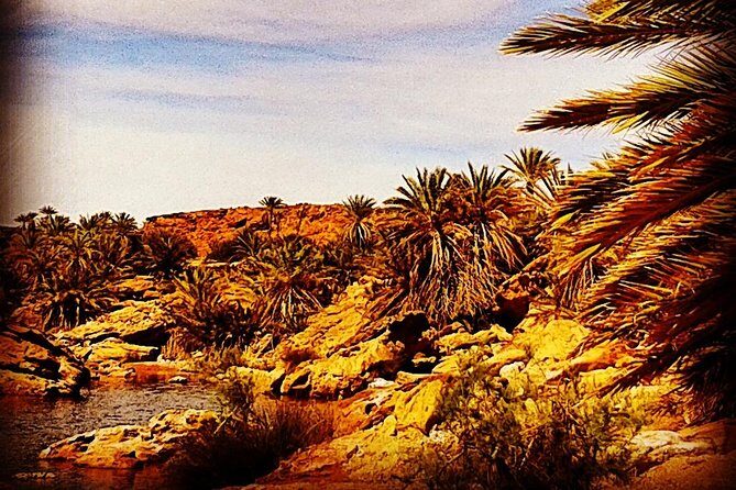 4x4 excursion to Safsaf Wild Oasis with traditional Berber picnic - Practical Details: What to Expect