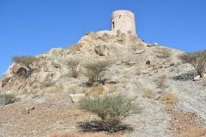 4x4 Hatta Safari to Fossil Rock & Honey Bee Garden visit with Breakfast - Final Thoughts: Who Will Love This Tour?
