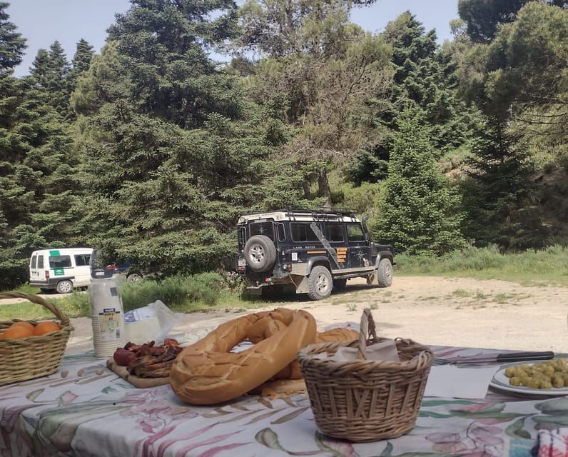 4x4-in-the-heart-of-the-sierra-de-las-nieves-national-park